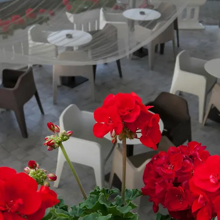 Hotel Umberto Hotel 3*